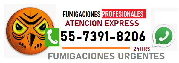 FUMIGACIONES DE CHINCHES IZTACALCO