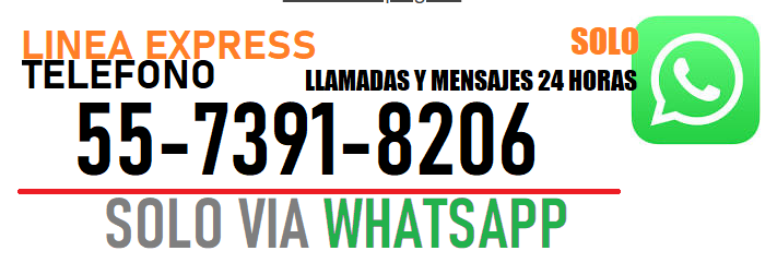 FUMIGACION 2026