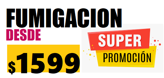 precio de fumigacion